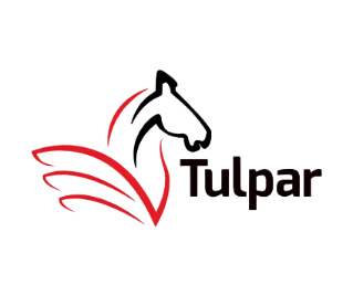  Tulpar Global Taxation 