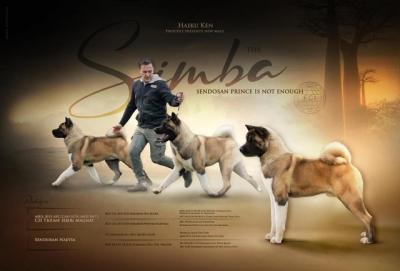 American Akita - Vienna Dogs, Puppies