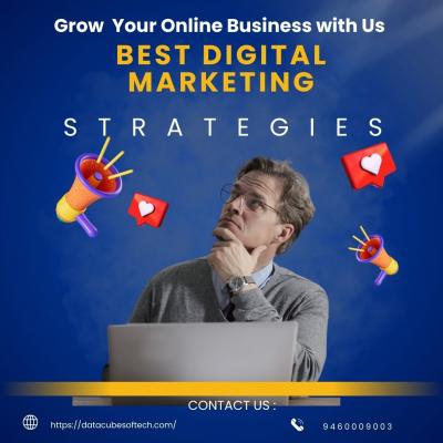 Leading Digital Marketing Companies in Jaipur | Online Growth Strategies