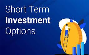 Short-Term Investment Plans with High Returns | Financial Planner in Pune