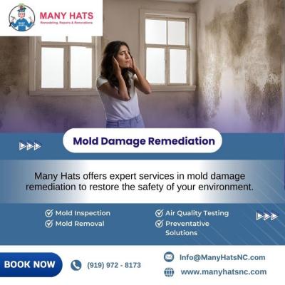 Mold Damage Remediation in Hillsborough