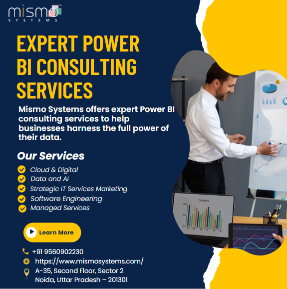 Expert Power BI Consulting Services - Lucknow Other
