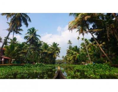 Alleppey Houseboats - Serene Backwaters of Kerala