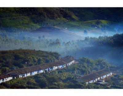 Munnar Travel Guide - Explore Kerala's Green Paradise