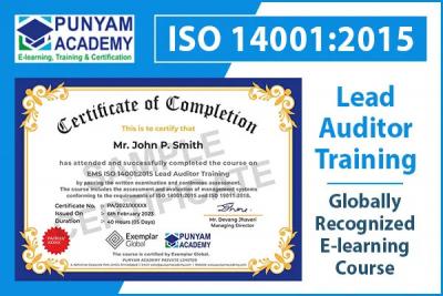 ISO 14001 Consultant 