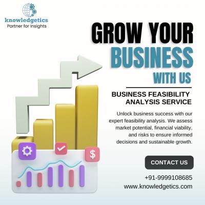 Best Business Feasibility Analysis service - Knowledgetics Research