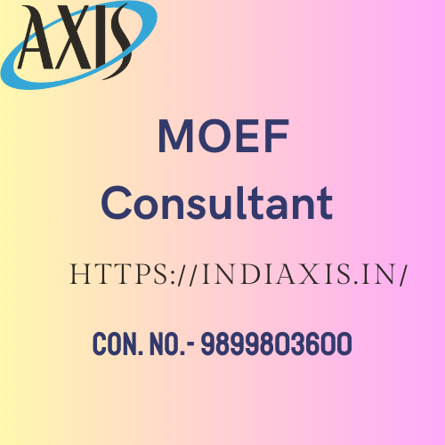  MOEF Consultant 