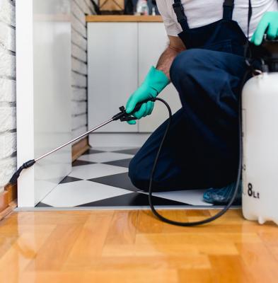 Pest Control Manchester – Comprehensive Pest Solutions for Your Home