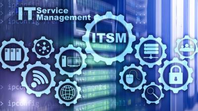 IT Project Management Services