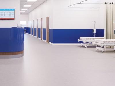 Safety Flooring Solutions – HygienaClad - Other Other