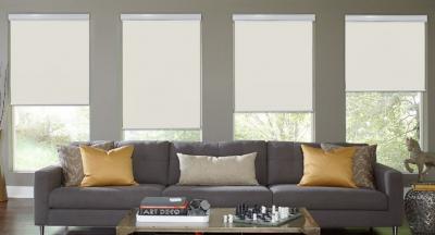Shop Roller Shades Online
