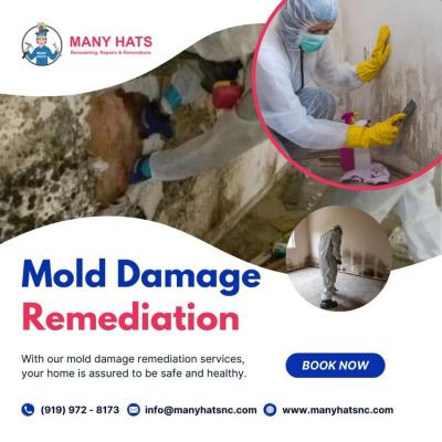 Mold Damage Remediation in Durham