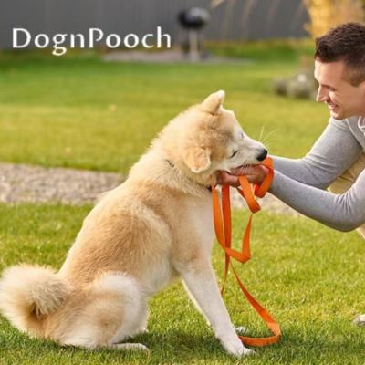 Dog Training Atascadero