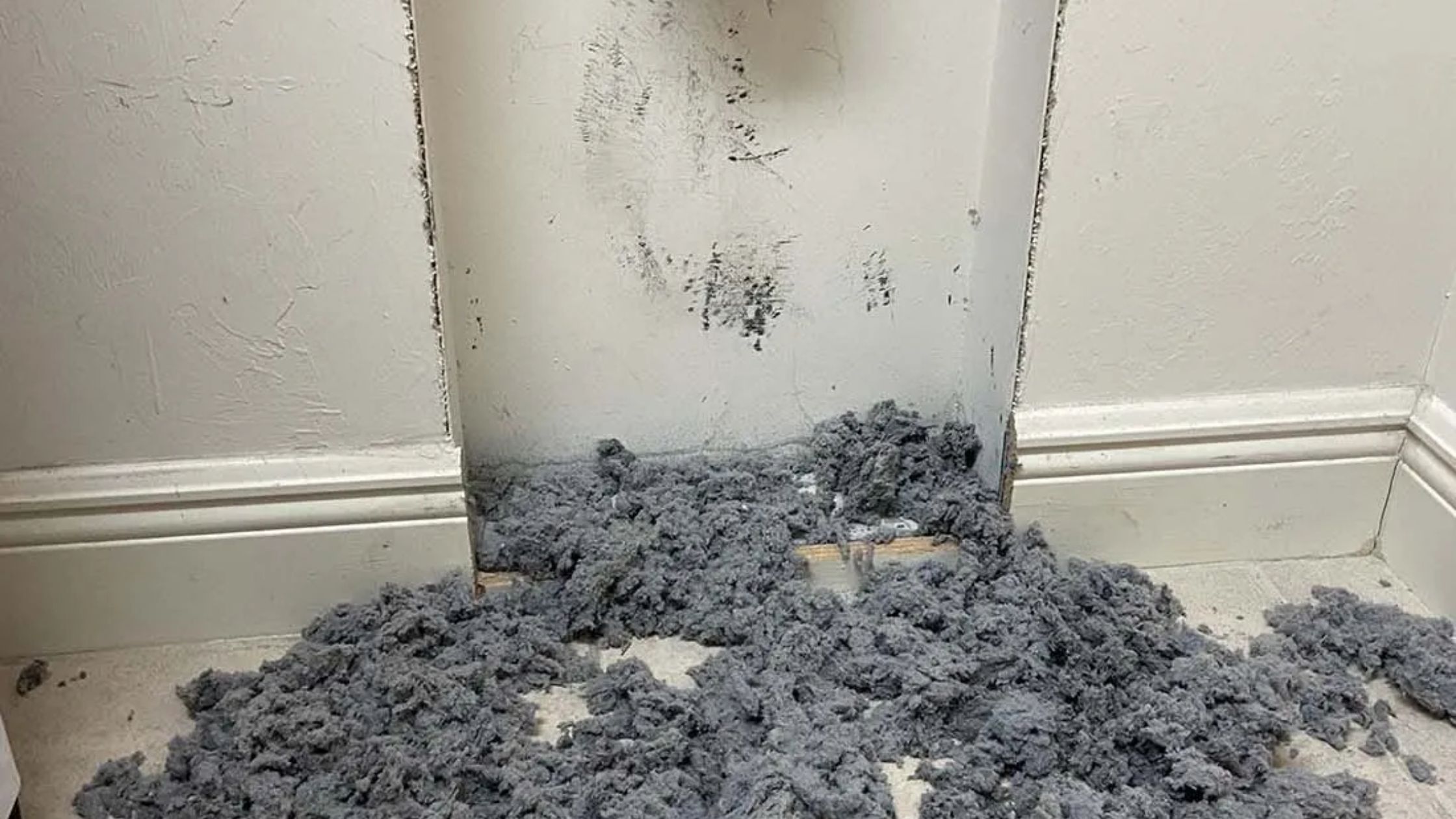 Cape Coral Dryer Vent Cleaners service