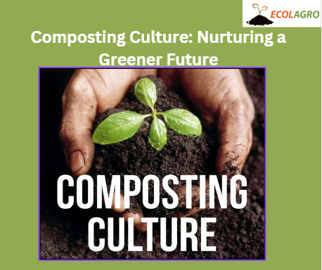 Composting Culture Nurturing a Greener Future - Lucknow Other