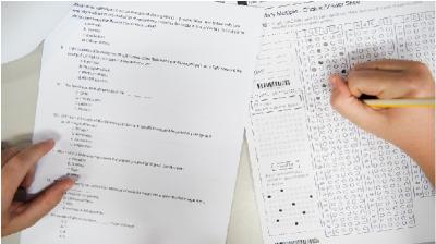 NAPLAN Exam Preparation in Australia - Brisbane Other