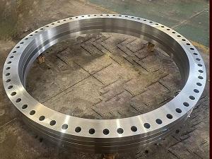 Explore AWWA Flanges: Ideal for Water Treatment and Distribution