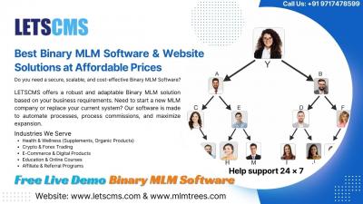 Best Binary MLM Software & Website Solutions at Affordable Prices - LETSCMS