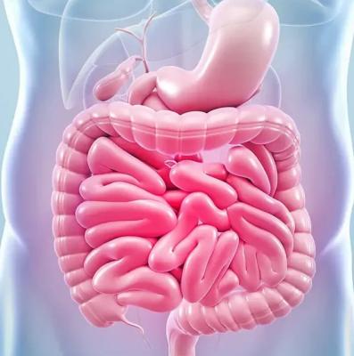 Heal with an Anti-Inflammatory Diet – Starts at ₹499! 🌿✨