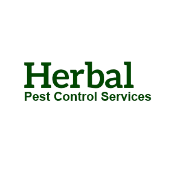 Pest Control in Thane - Mumbai Other