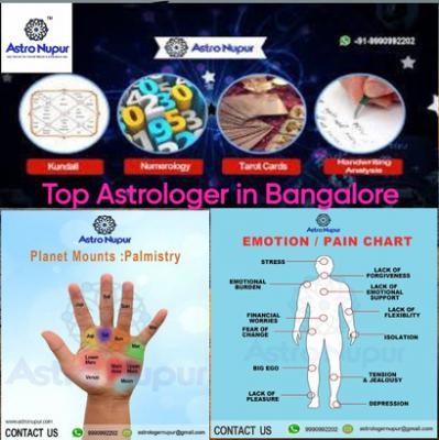 Top Astrologer in Bangalore