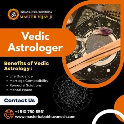 Vedic Astrologer in California - Other Other