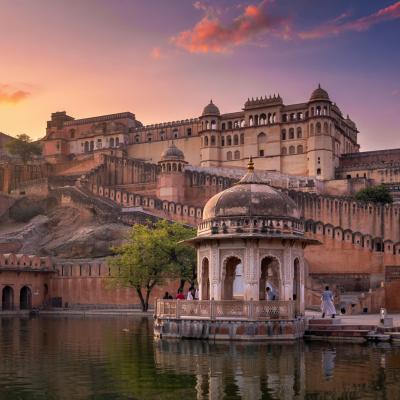 Best Time to Visit Elephant Village Amer for an Amazing Experience