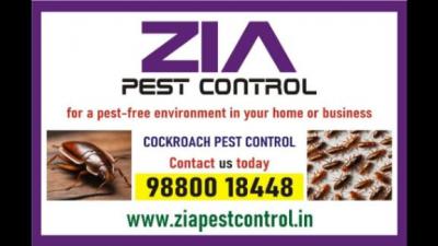 Service, Other, Home Service, Pesticides, Pest control Solution.