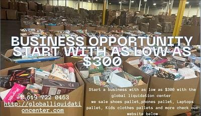 Business Opportunity with as Low as $300