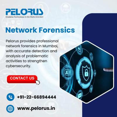 Network Forensics
