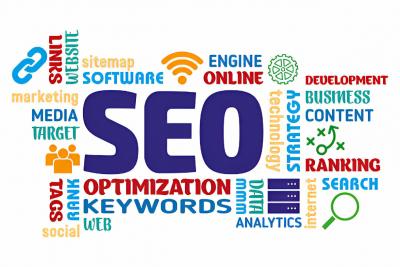 Transform Your Web Presence - Chandigarh Other