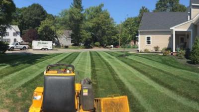 Lawn Care In Easton - Other Other