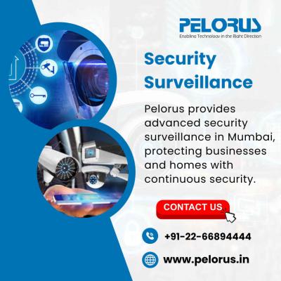 Security Surveillance