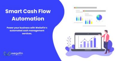 Smart Cash Management Services for Businesses | Wegofin