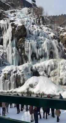 Discover the Best Travels Company in Noida – Viz Travels