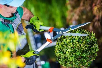 Professional Landscaping in Adelaide | Book Today - Adelaide Other
