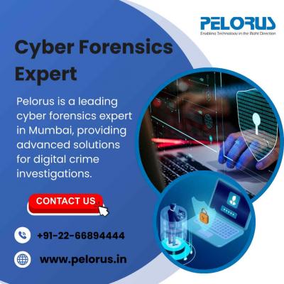 cyber forensics expert