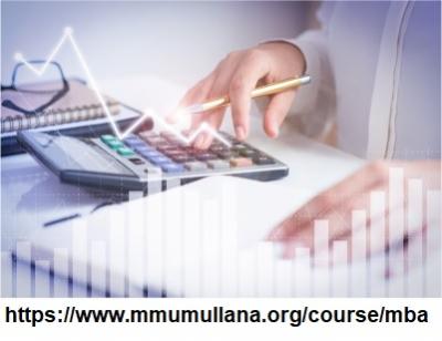 Mba International Business North India