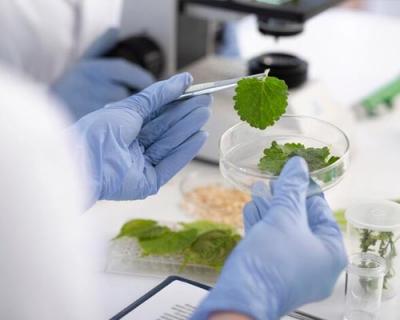 Best B.Tech. in Biotechnology College in Lucknow