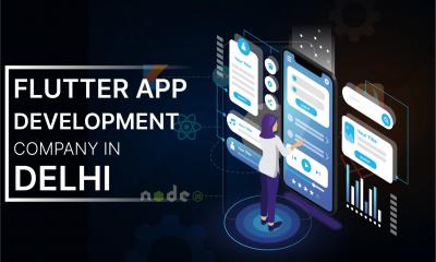Top Flutter App Development Company in Delhi – Duplex Technologies