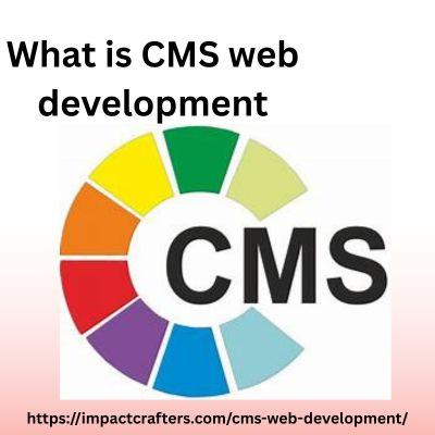 What is CMS web development - Delhi Other