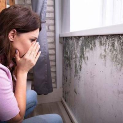 Mold Remediation Testing