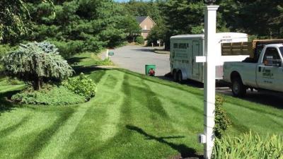 Lawn Repair In Easton - Other Other