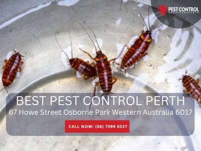 Reliable Pest Agencies Near Me for Quick Response