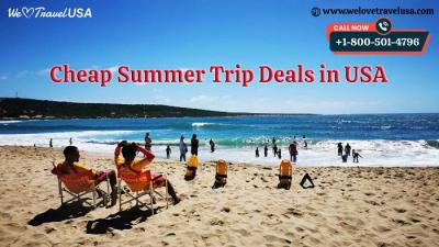 Cheap Summer Trip Deals in USA - Chicago Other