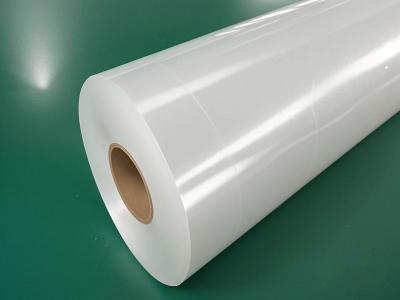 Why Global Companies Are Switching to PET Strap Rolls