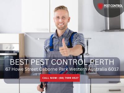Perth’s Go-To Termite Exterminator 