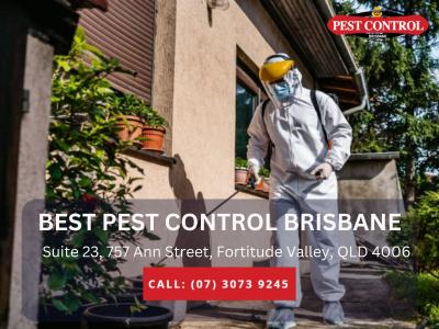 Reliable Home Inspection Brisbane for Total Protection