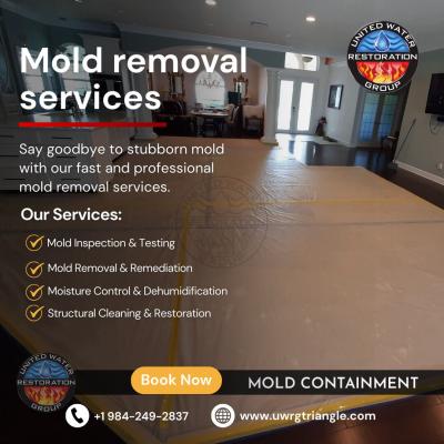 Mold removal companies Hillsborough