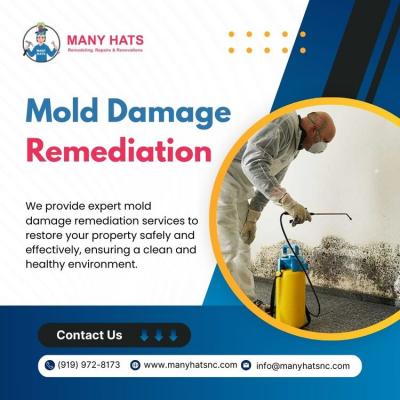 Mold Damage Remediation in Durham | Mold Damage Remediation in Chapel Hill